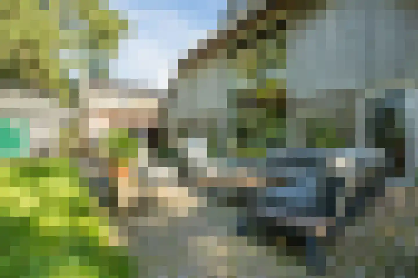 Doldersummerweg 5 Wapse thumbnail 94
