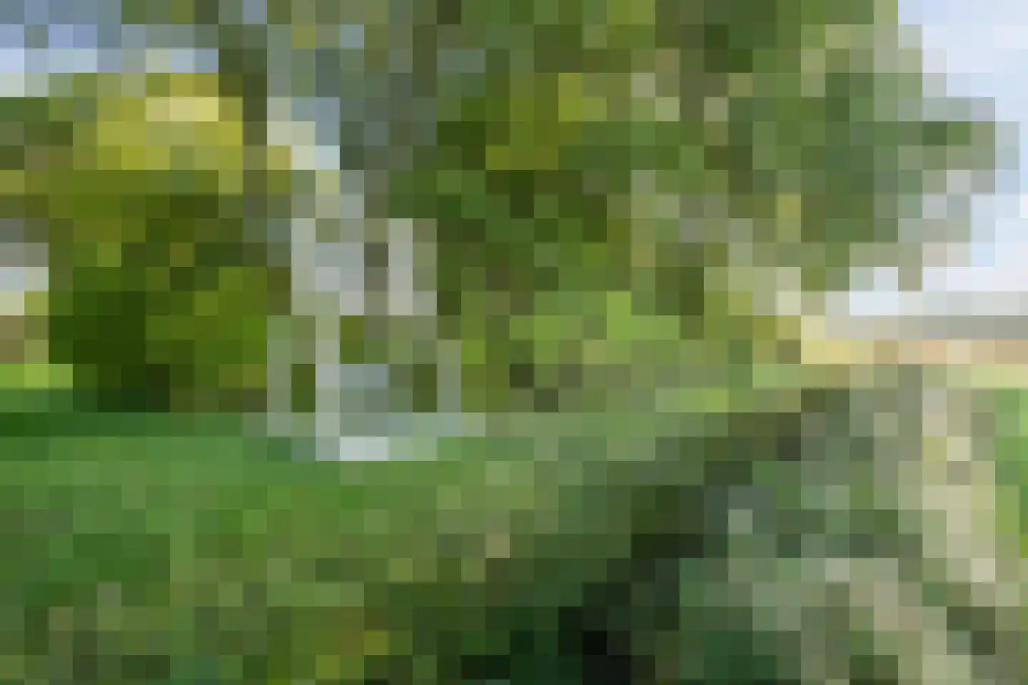 Doldersummerweg 5 Wapse thumbnail 96