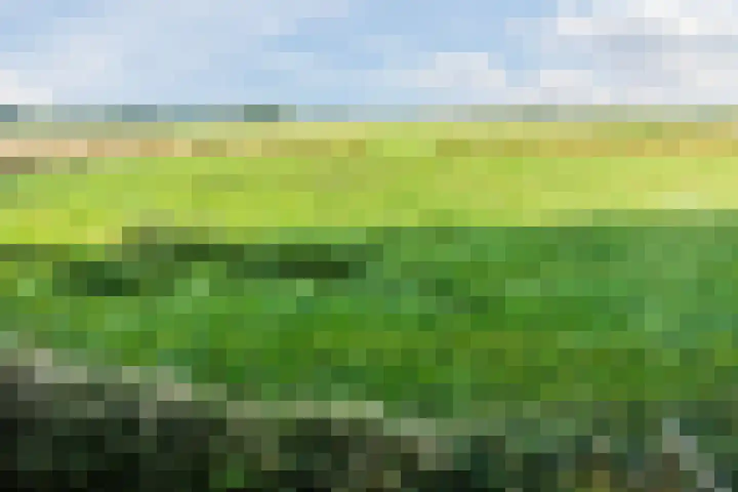 Doldersummerweg 5 Wapse thumbnail 98