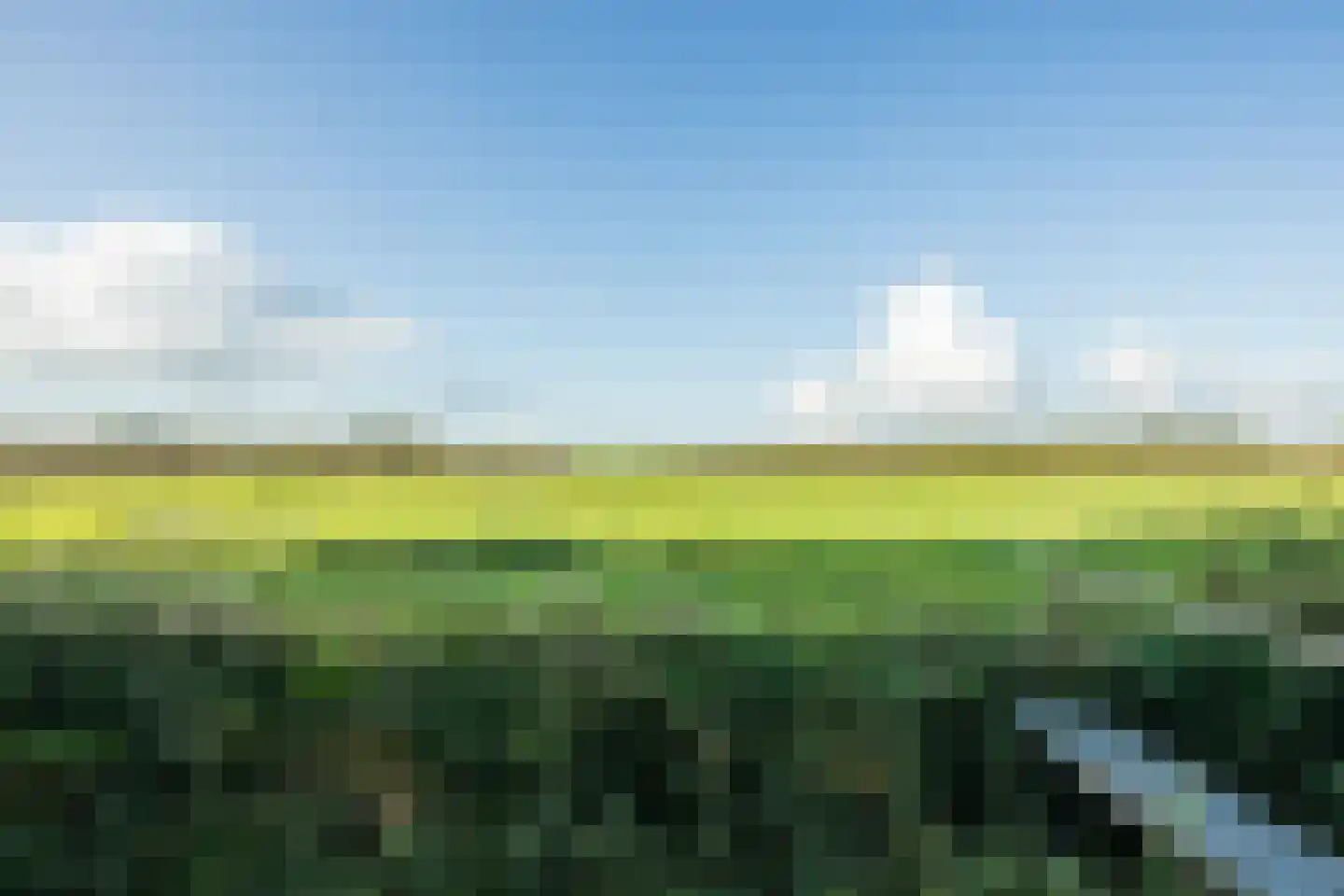 Doldersummerweg 5 Wapse thumbnail 99