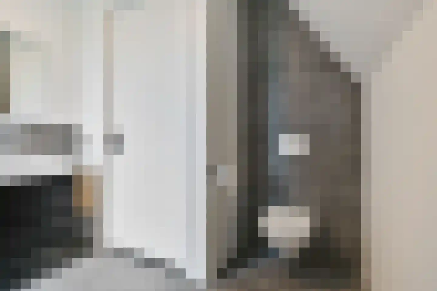 Dolentepad 8 Arnhem thumbnail 49
