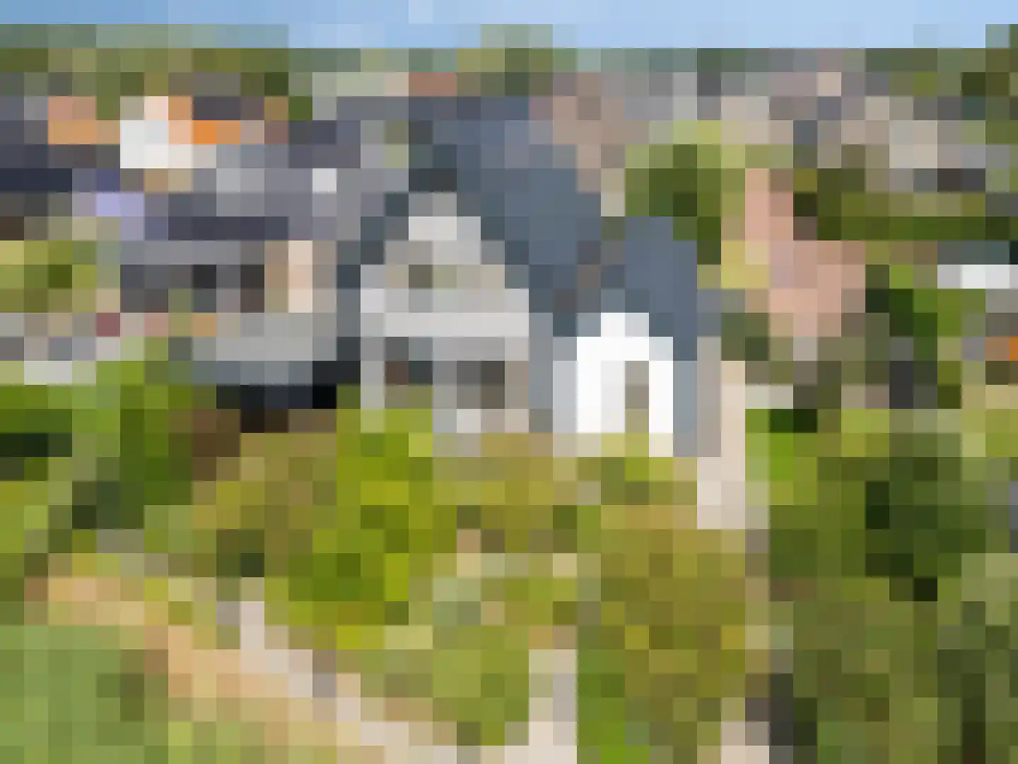 Dolentepad 8 Arnhem thumbnail 64