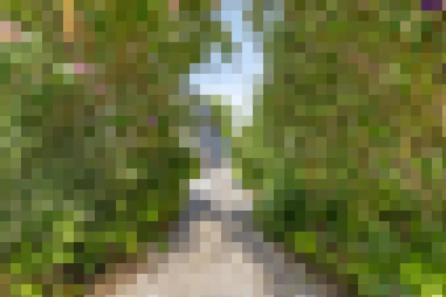 Dolentepad 8 Arnhem thumbnail 65