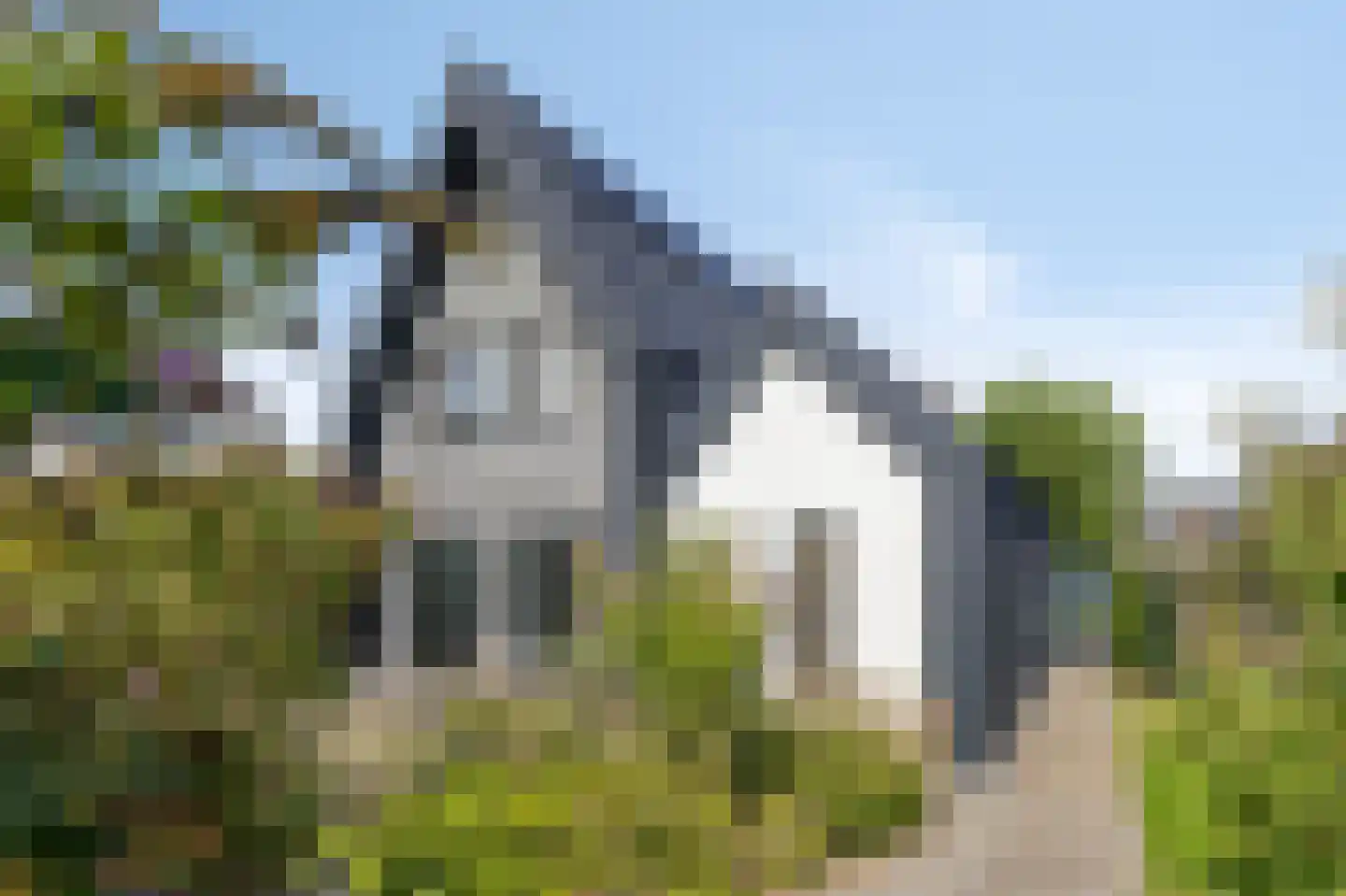Dolentepad 8 Arnhem thumbnail 66