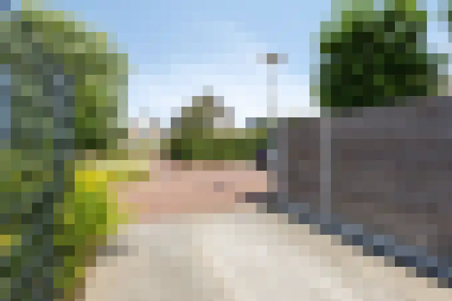 Dolentepad 8 Arnhem thumbnail 69