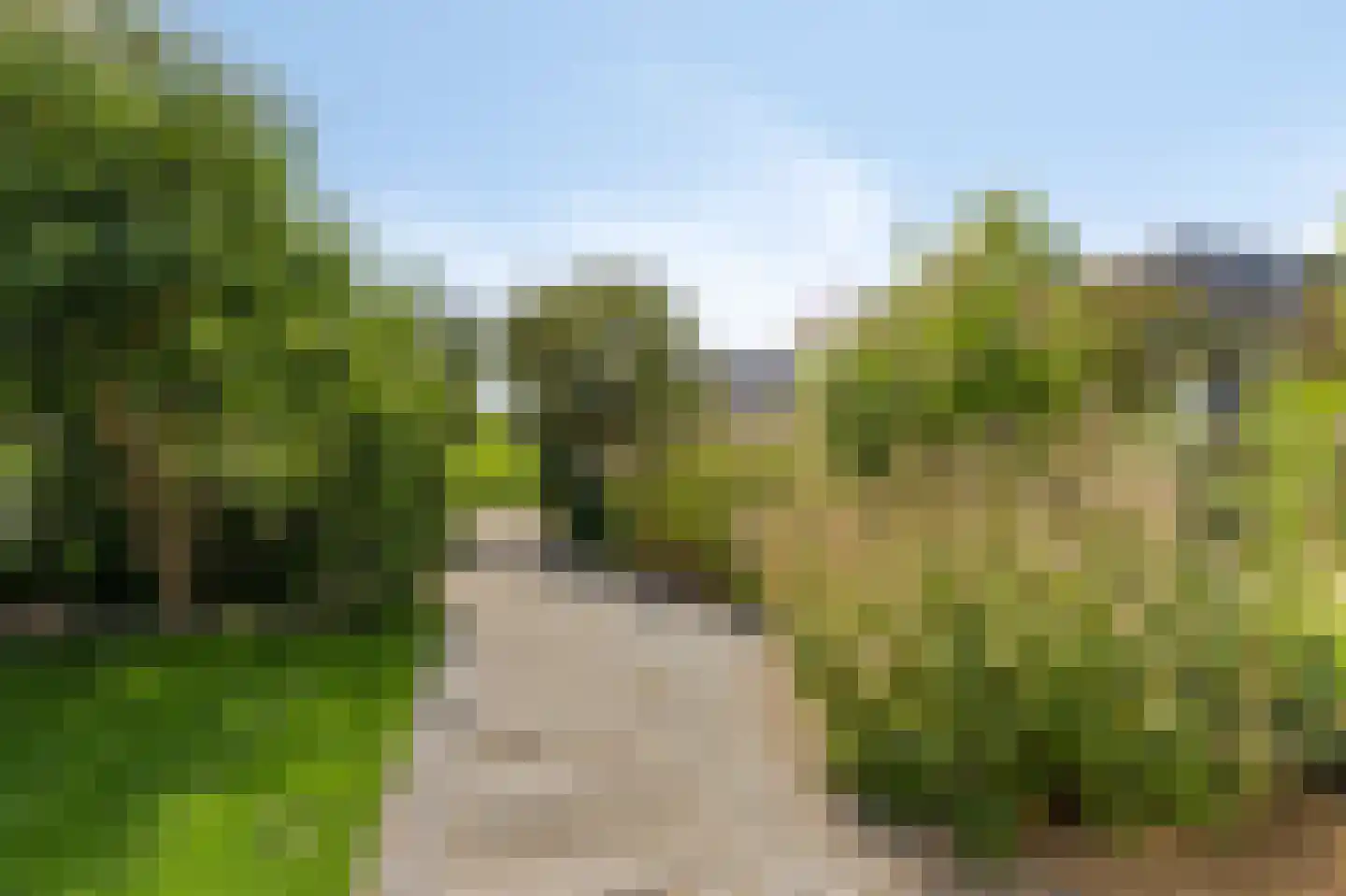 Dolentepad 8 Arnhem thumbnail 72