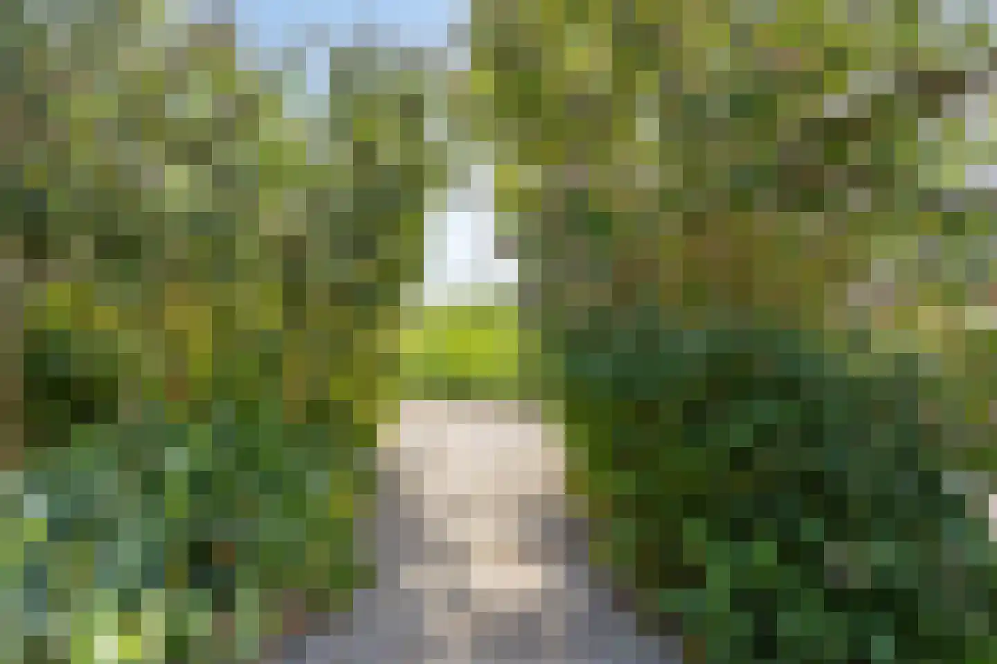 Dolentepad 8 Arnhem thumbnail 73