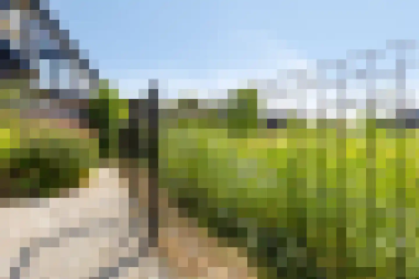Dolentepad 8 Arnhem thumbnail 74
