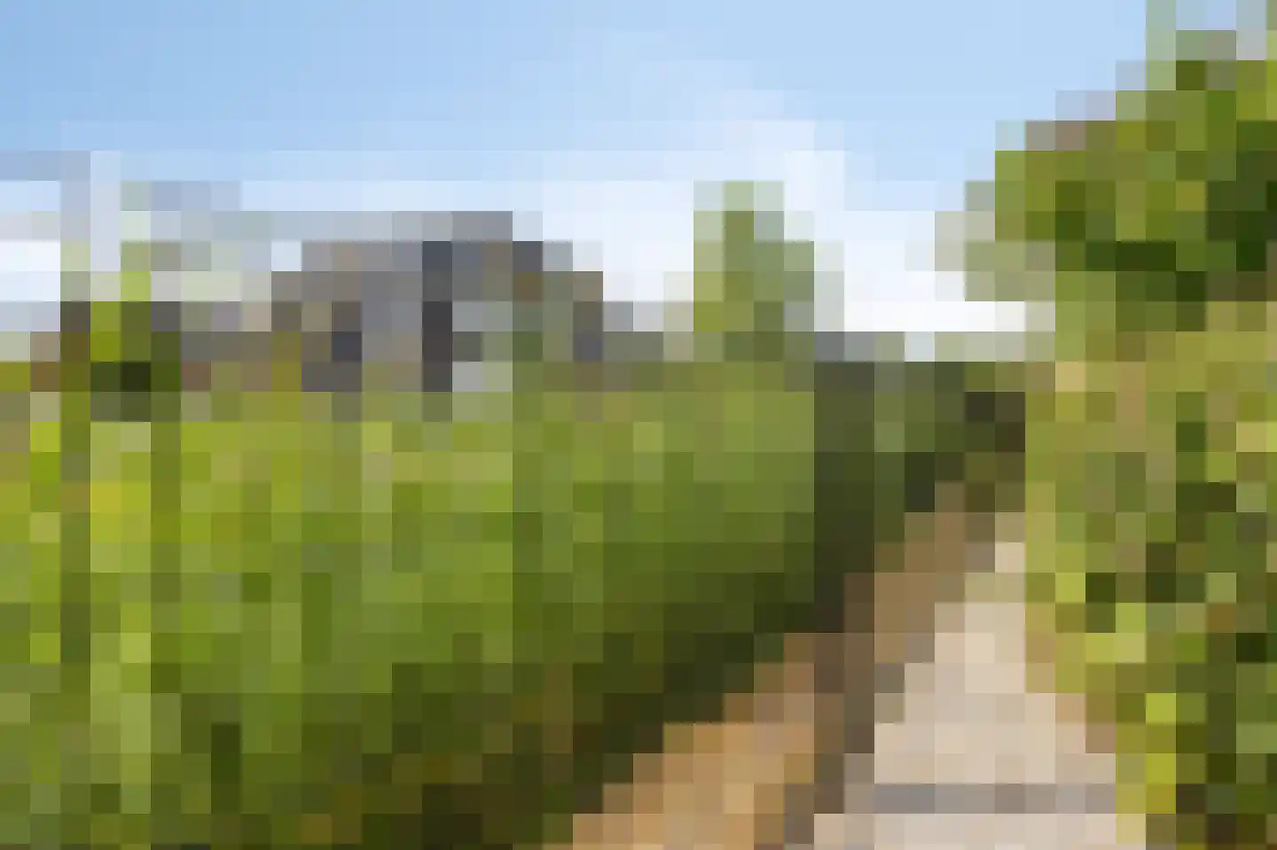 Dolentepad 8 Arnhem thumbnail 75