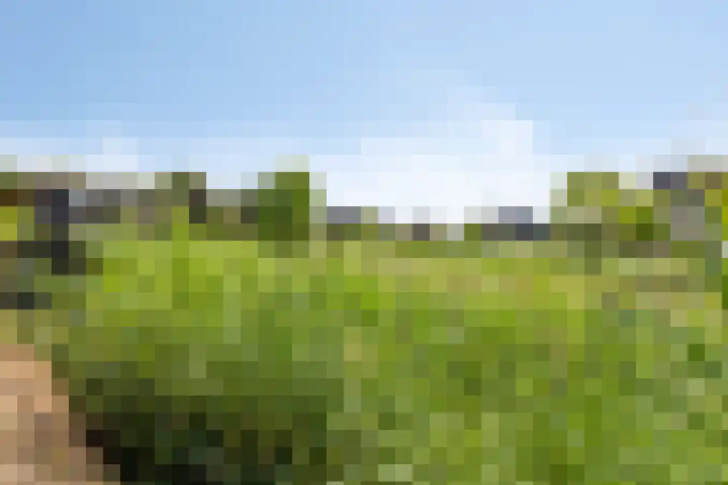 Dolentepad 8 Arnhem thumbnail 76