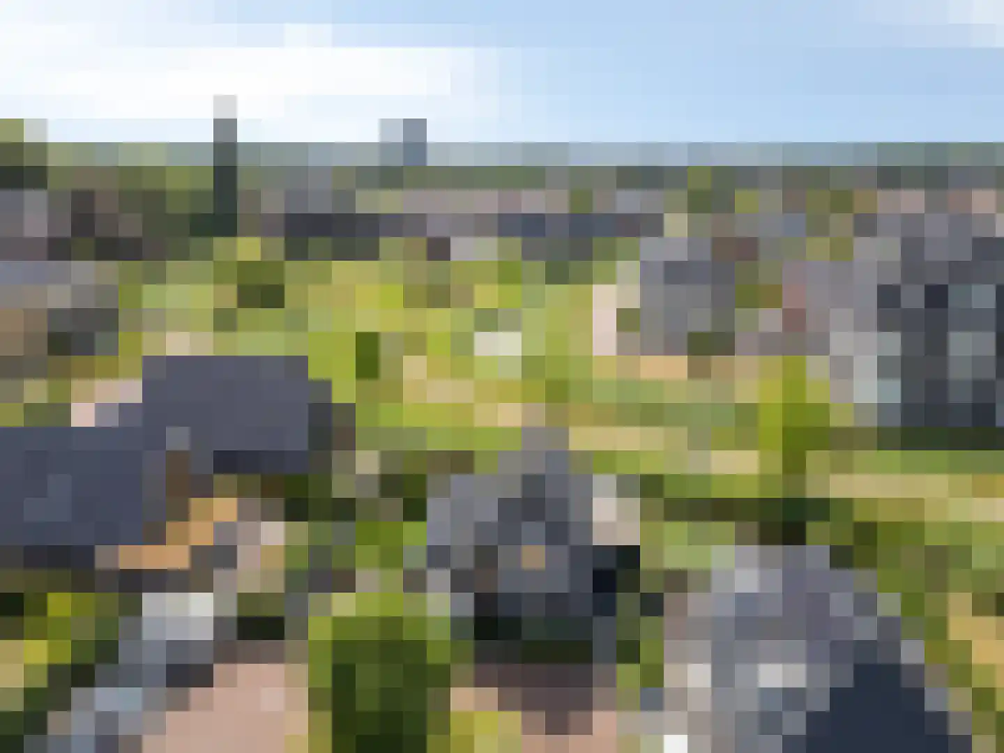 Dolentepad 8 Arnhem thumbnail 78