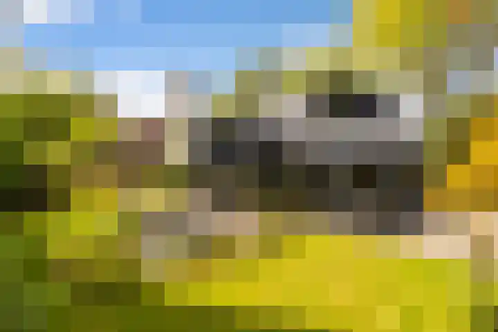 Dolf Nijhoffstraat 20 Hengelo thumbnail 5