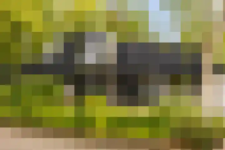 Dolf Nijhoffstraat 20 Hengelo thumbnail 8