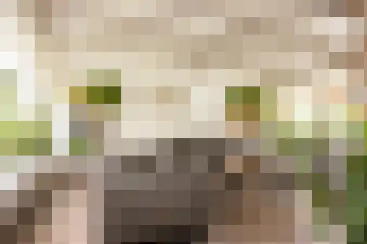 Dolf Nijhoffstraat 21 Hengelo thumbnail 16
