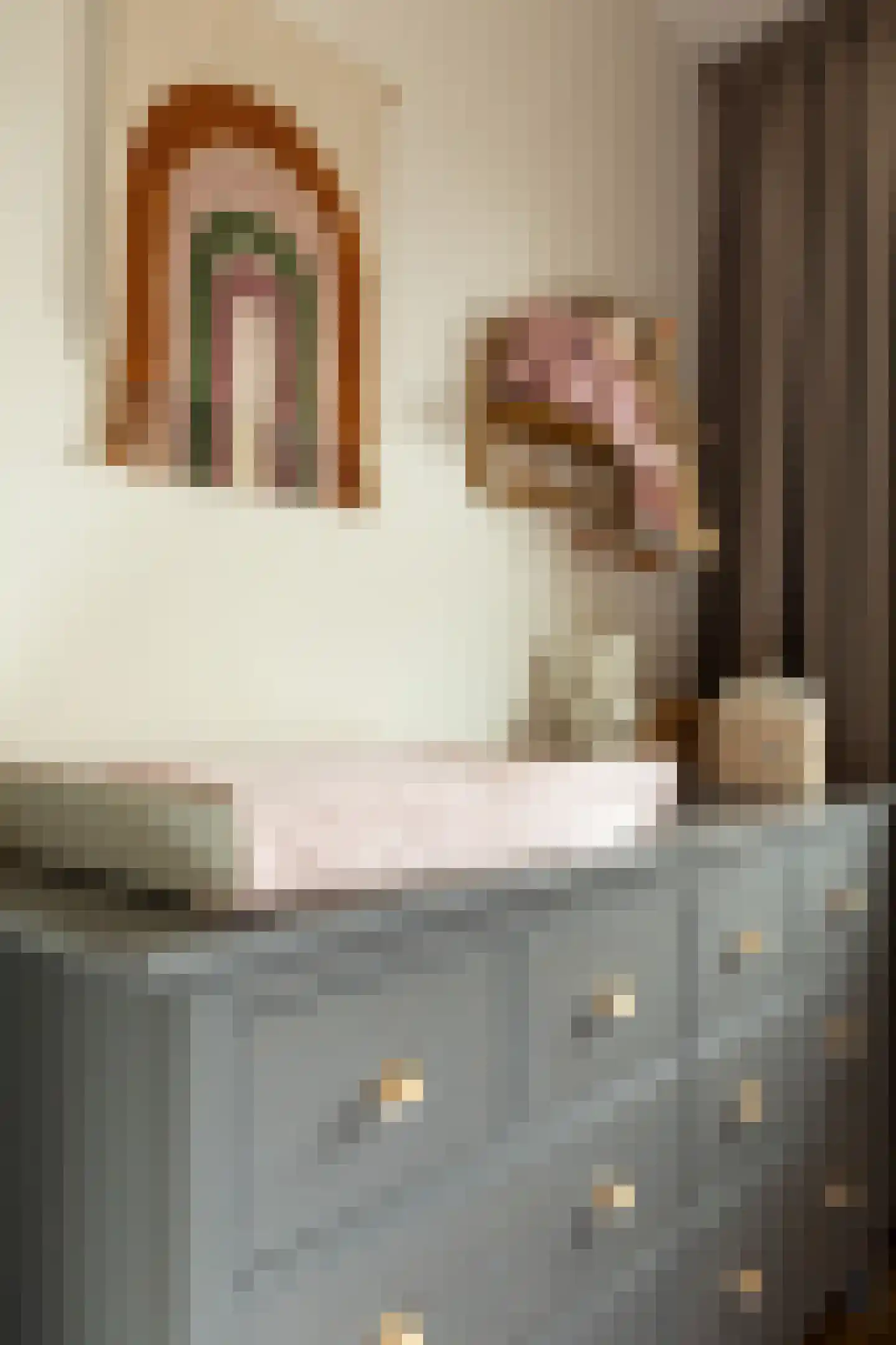 Dolf van der Lindenstraat 23 Hilversum thumbnail 19