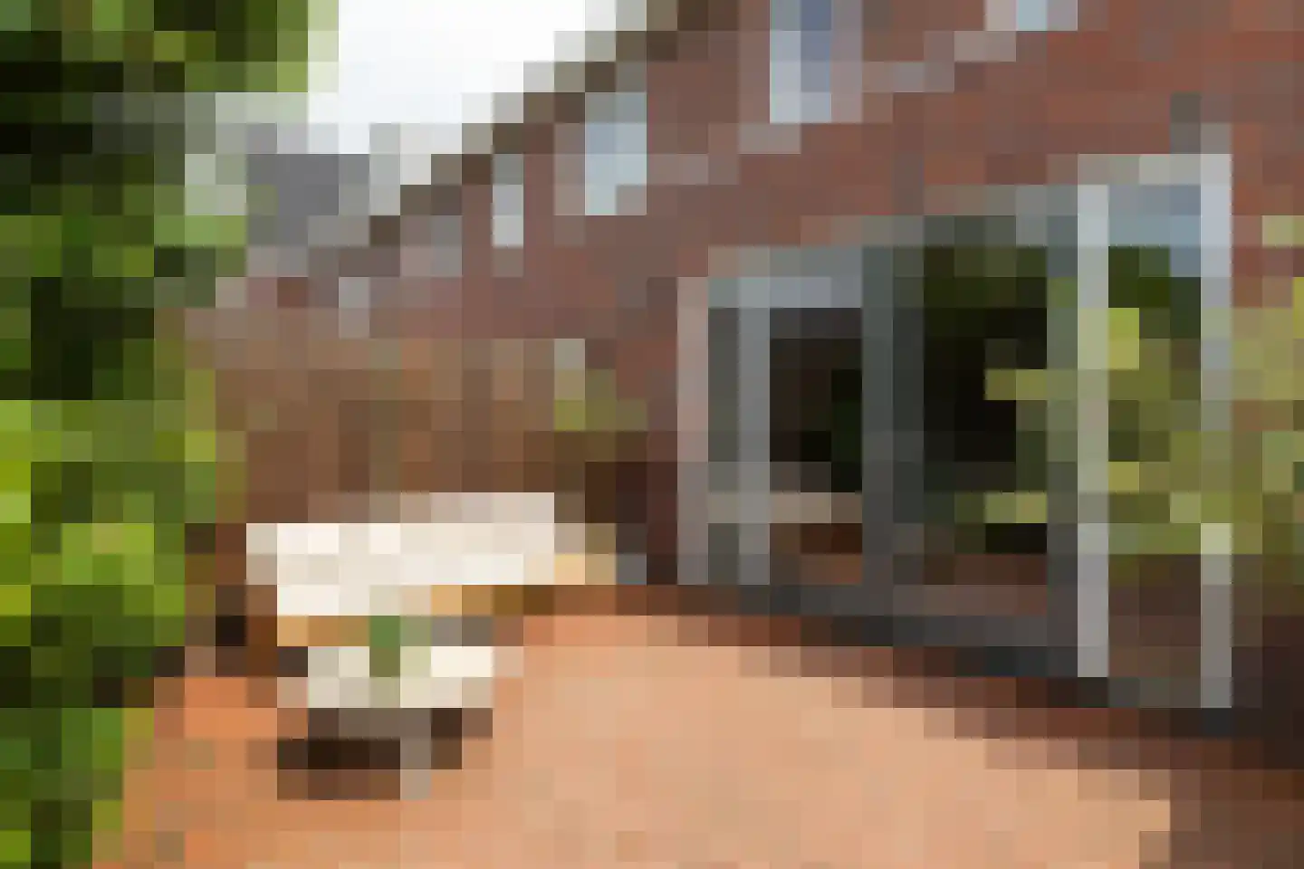 Dolf van der Lindenstraat 23 Hilversum thumbnail 24