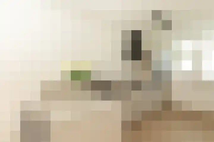 Dolf van der Lindenstraat 6 Hilversum thumbnail 11