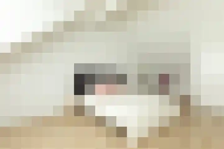 Dolf van der Lindenstraat 6 Hilversum thumbnail 24