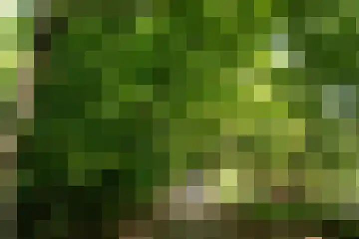 Dolf van der Lindenstraat 6 Hilversum thumbnail 32