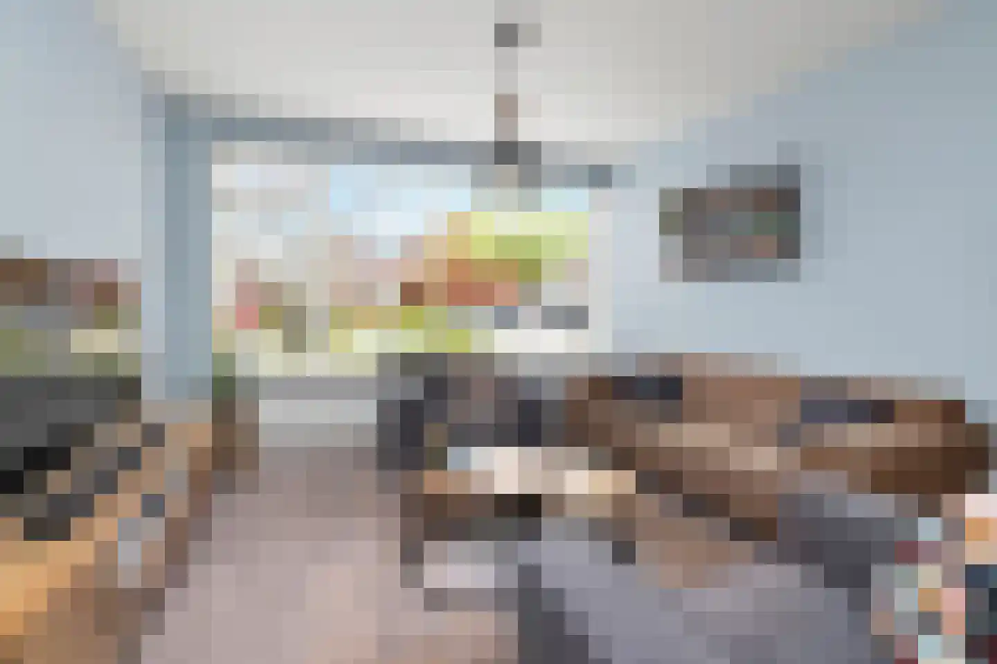 Dolfijnlaan 95 Helmond thumbnail 18