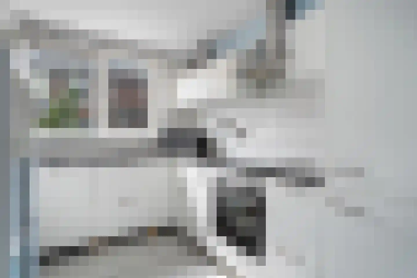 Dolfijnpad 12 Almere thumbnail 9