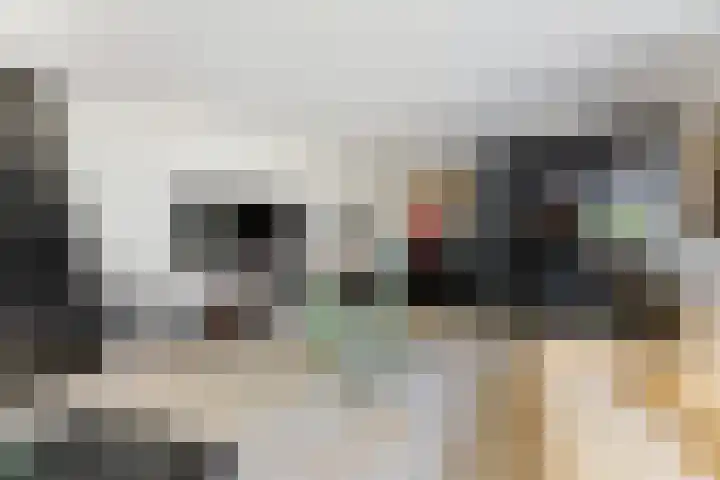 Dolfijnpark 7 Ridderkerk thumbnail 10