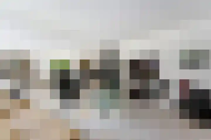 Dolfijnpark 7 Ridderkerk thumbnail 11