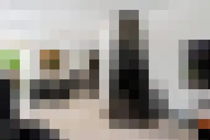Dolfijnpark 7 Ridderkerk thumbnail 13