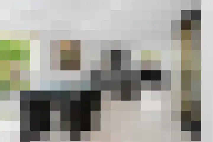 Dolfijnpark 7 Ridderkerk thumbnail 15