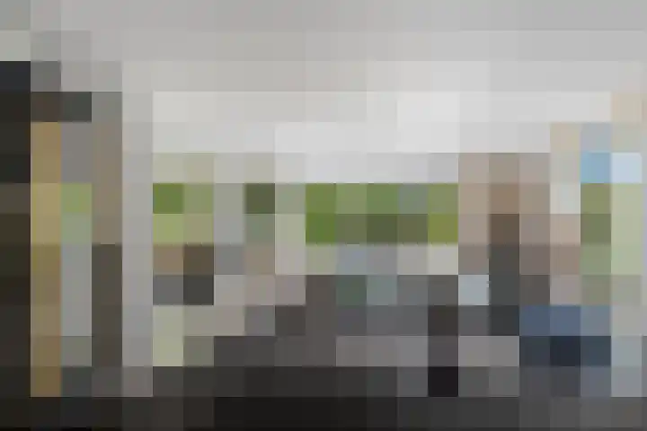 Dolfijnpark 7 Ridderkerk thumbnail 17