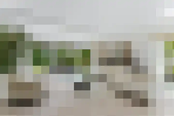 Dolfijnpark 7 Ridderkerk thumbnail 4