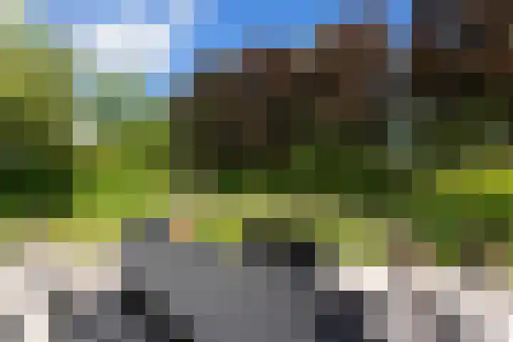 Dolfijnpark 7 Ridderkerk thumbnail 41
