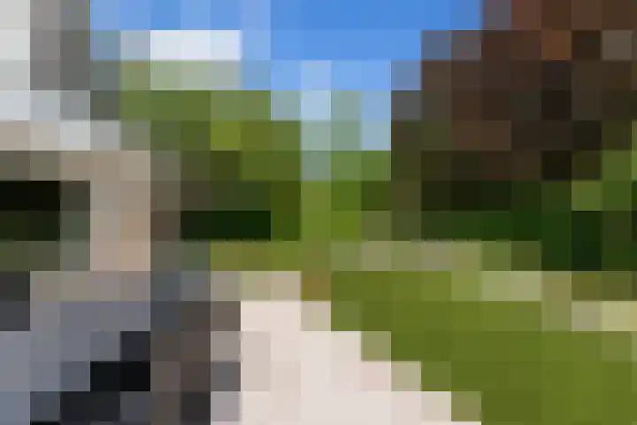 Dolfijnpark 7 Ridderkerk thumbnail 42