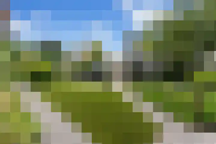 Dolfijnpark 7 Ridderkerk thumbnail 43