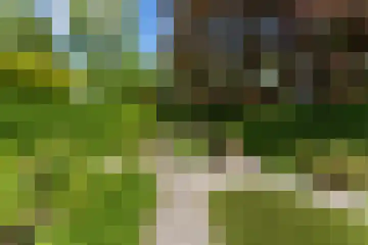 Dolfijnpark 7 Ridderkerk thumbnail 44