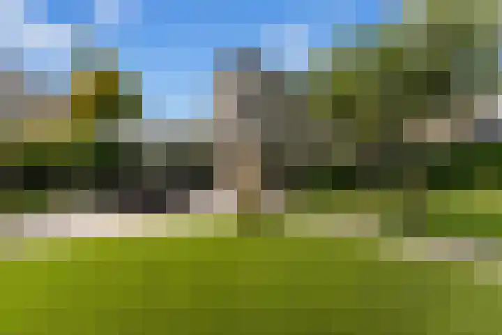 Dolfijnpark 7 Ridderkerk thumbnail 45