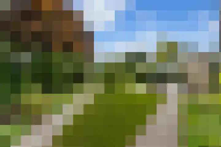 Dolfijnpark 7 Ridderkerk thumbnail 46