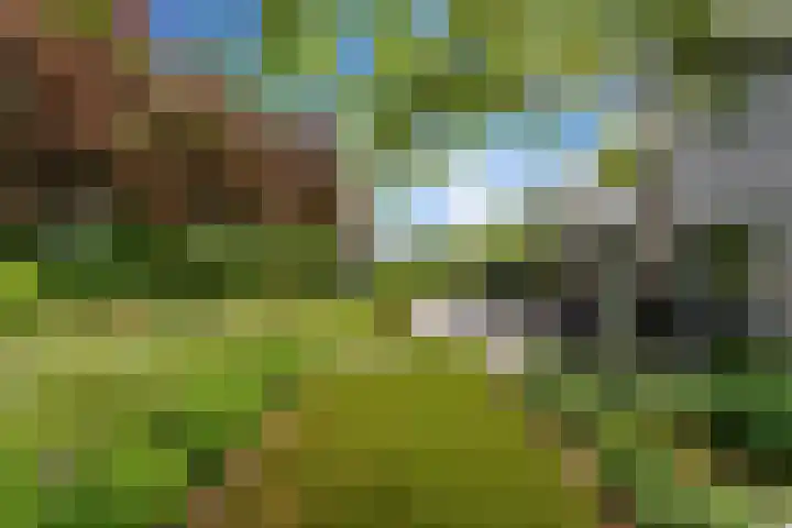 Dolfijnpark 7 Ridderkerk thumbnail 47