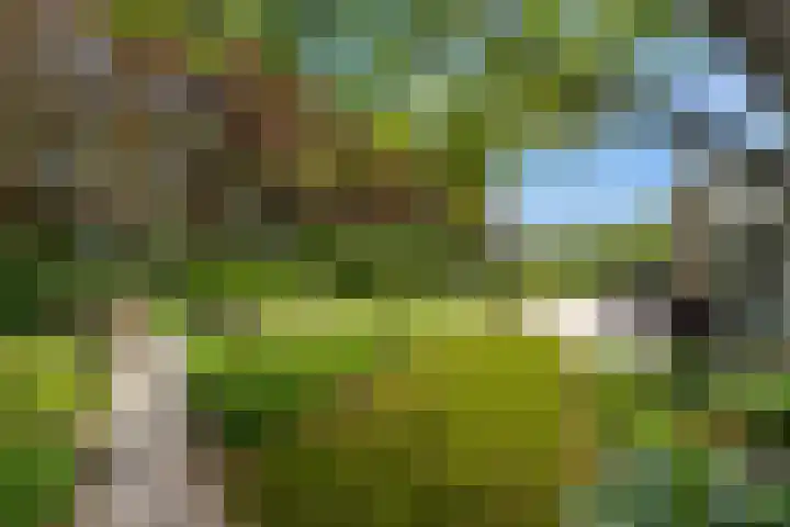 Dolfijnpark 7 Ridderkerk thumbnail 48