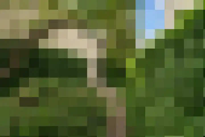Dolfijnpark 7 Ridderkerk thumbnail 49