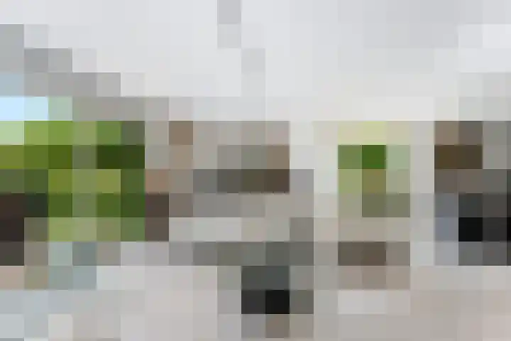 Dolfijnpark 7 Ridderkerk thumbnail 5