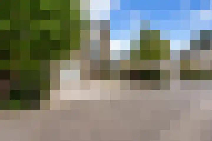 Dolfijnpark 7 Ridderkerk thumbnail 51