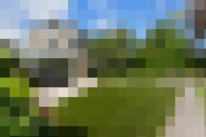 Dolfijnpark 7 Ridderkerk thumbnail 56
