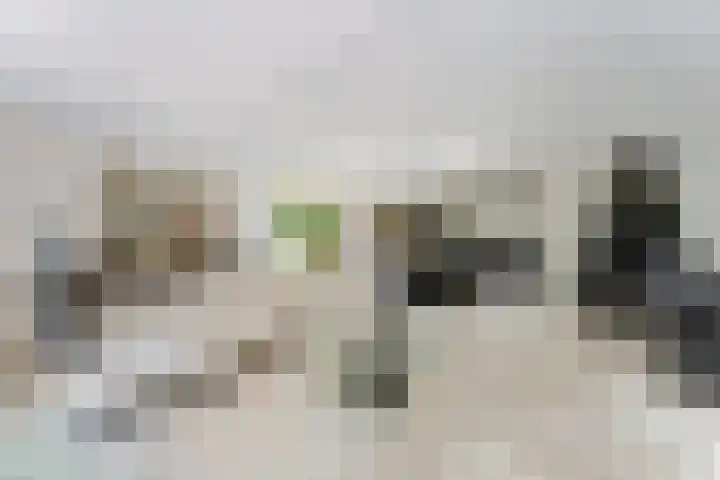Dolfijnpark 7 Ridderkerk thumbnail 6
