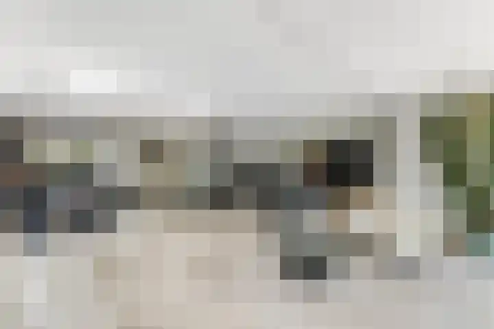 Dolfijnpark 7 Ridderkerk thumbnail 7