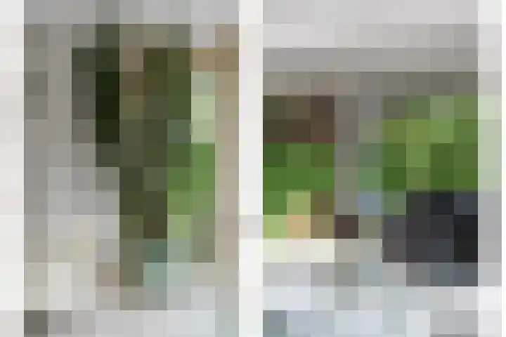 Dolfijnpark 7 Ridderkerk thumbnail 8