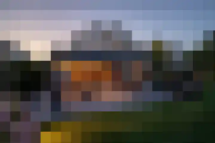 Dolfijnpark 8 Ridderkerk thumbnail 23
