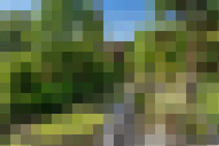 Dolfijnpark 8 Ridderkerk thumbnail 25