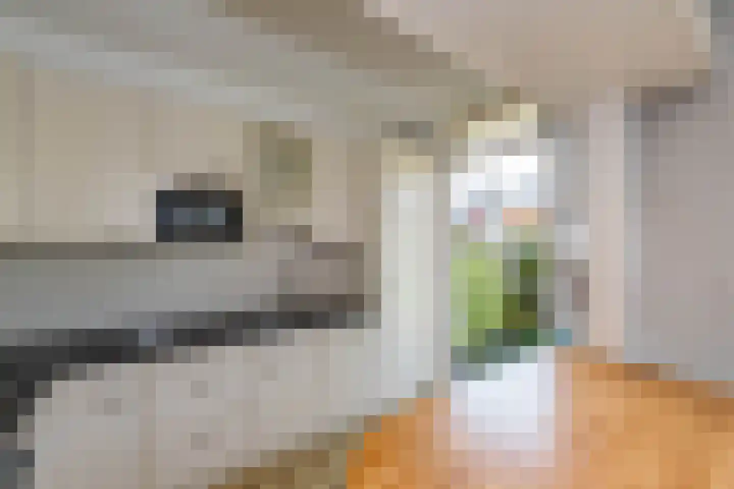 Dolfijnstraat 19 Haarlem thumbnail 16