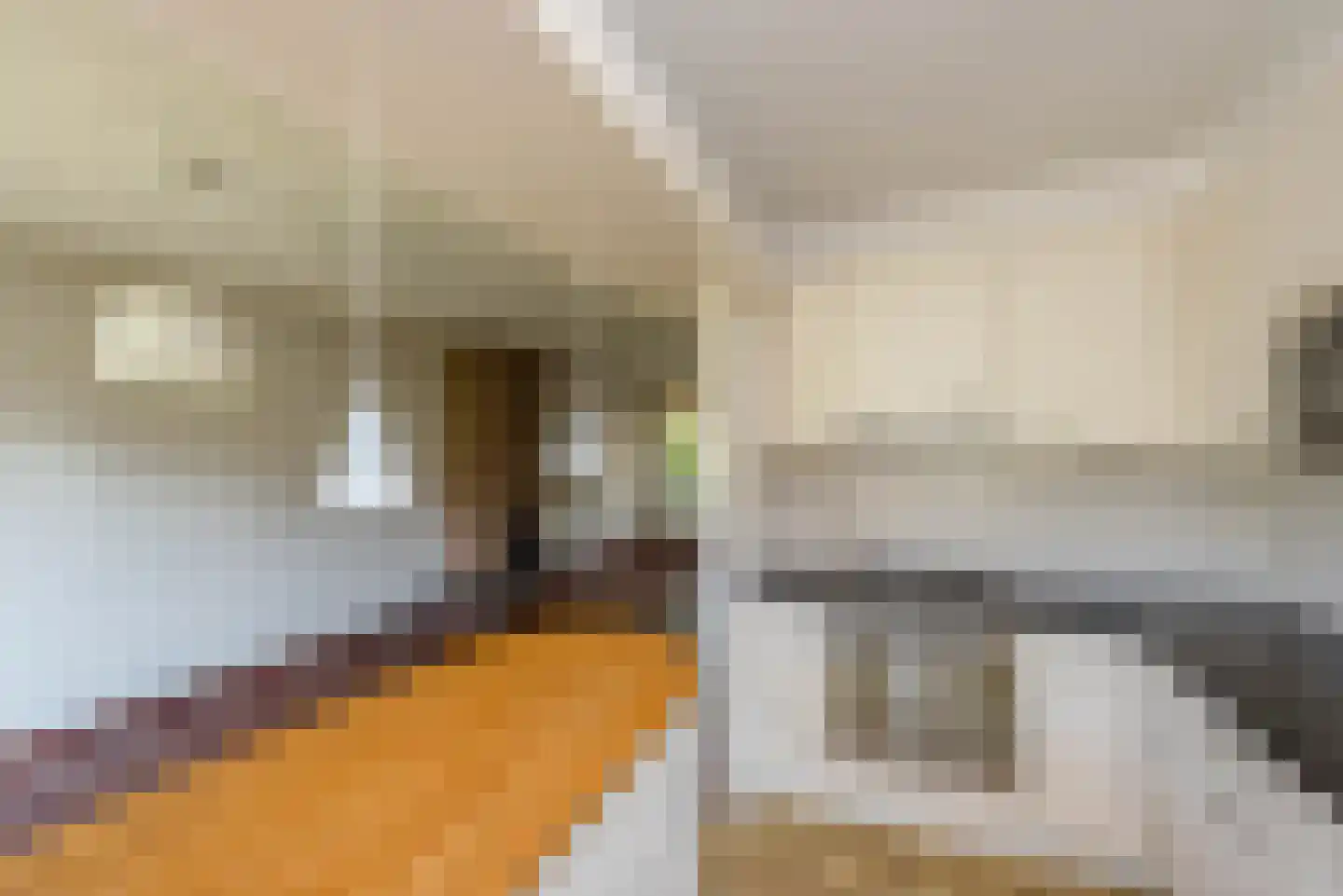 Dolfijnstraat 19 Haarlem thumbnail 17